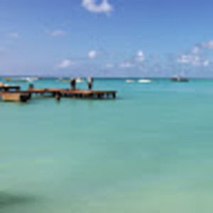 Meet your Posher, Fang